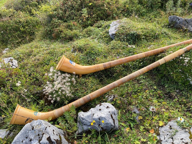 Zwei Alphörner aus Holz liegen auf einer grünen Wiese mit Steinen und kleinen Blumen. Die Hörner sind lang und haben eine geschwungene Form.