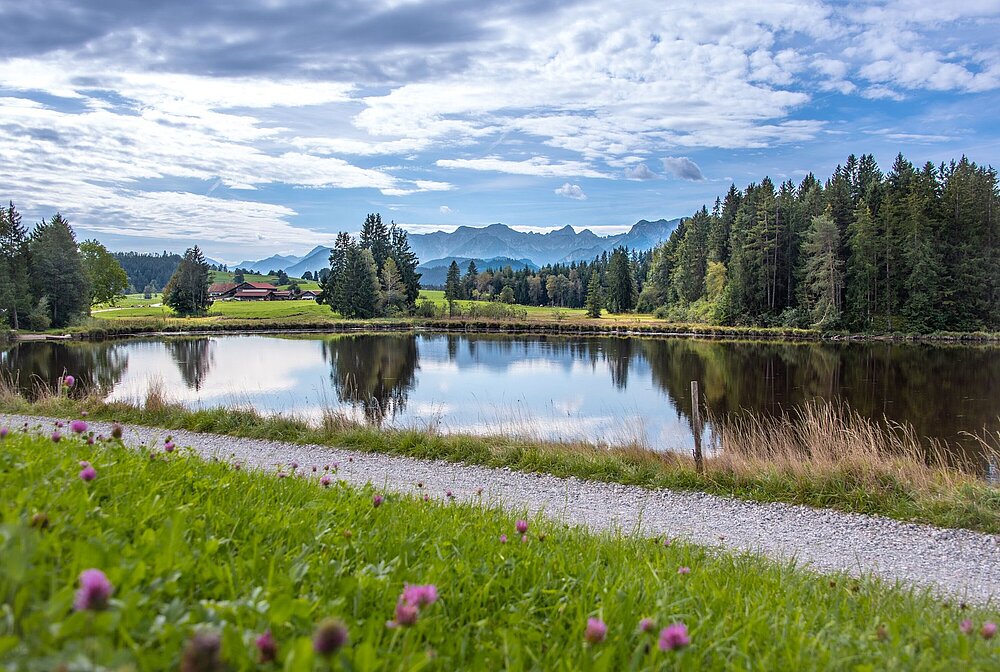 Blick auf den Luimooser Weiher in Rückholz mit spiegelnder Wasseroberfläche, umgeben von Wiesen, Bäumen und Bergen im Hintergrund unter bewölktem Himmel.