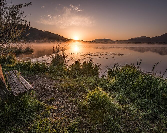 Sonnenaufgang über einem nebligen See mit einer Holzbank am grasbewachsenen Ufer im Allgäu